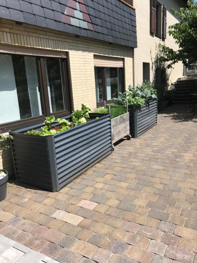 Ferienwohnung Am Weiltalradweg Weinbach Exterior foto